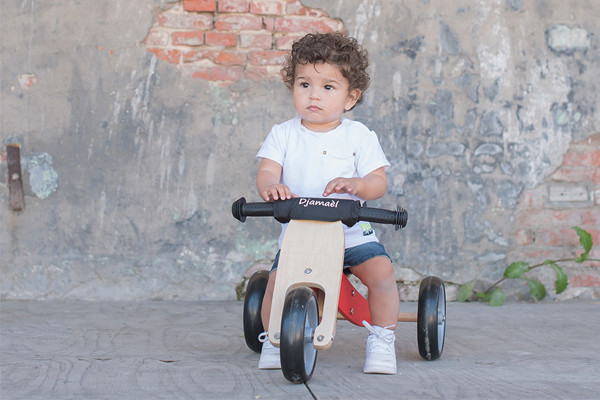 bandits and angels smart bike 4 in 1